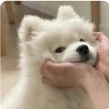 用戶頭像